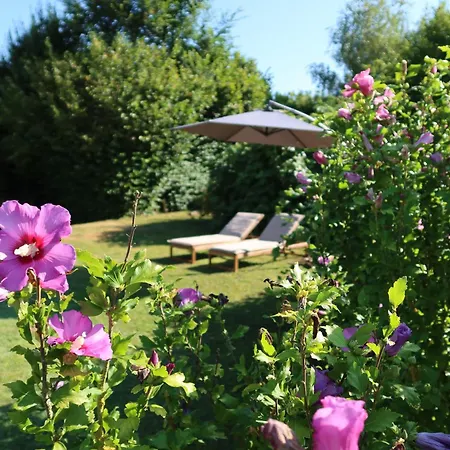 Nocleg ze śniadaniem Vie De Reve *